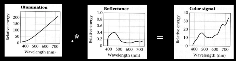 reflectance-2