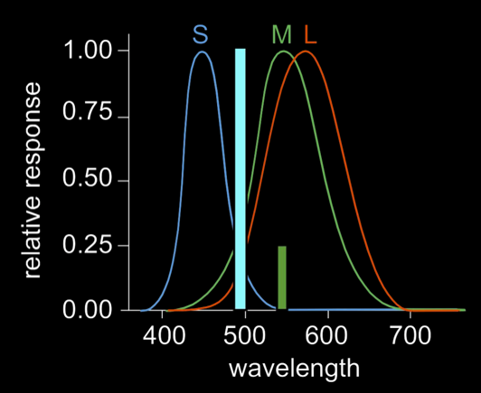 response-comparison